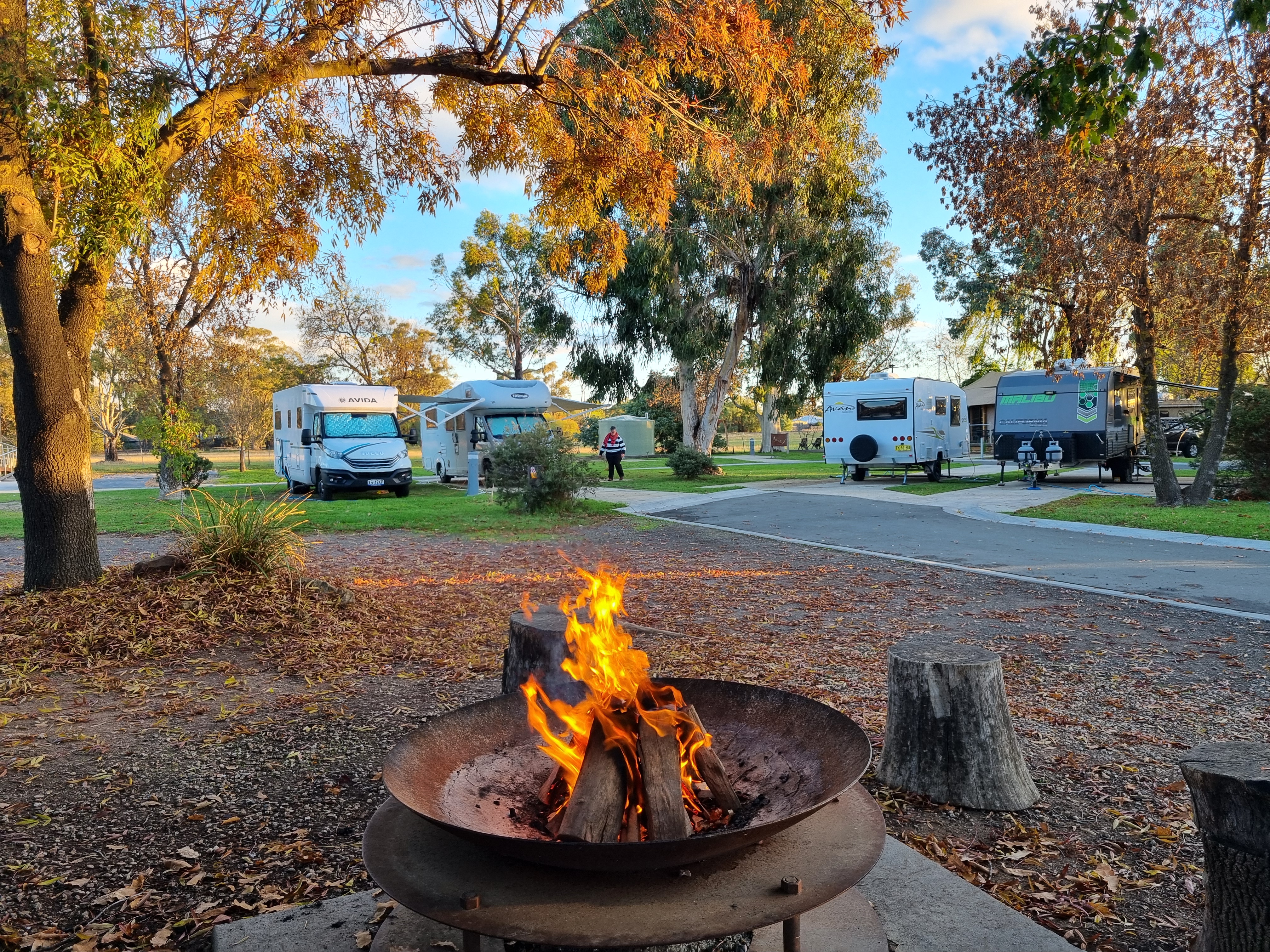 About Our Park