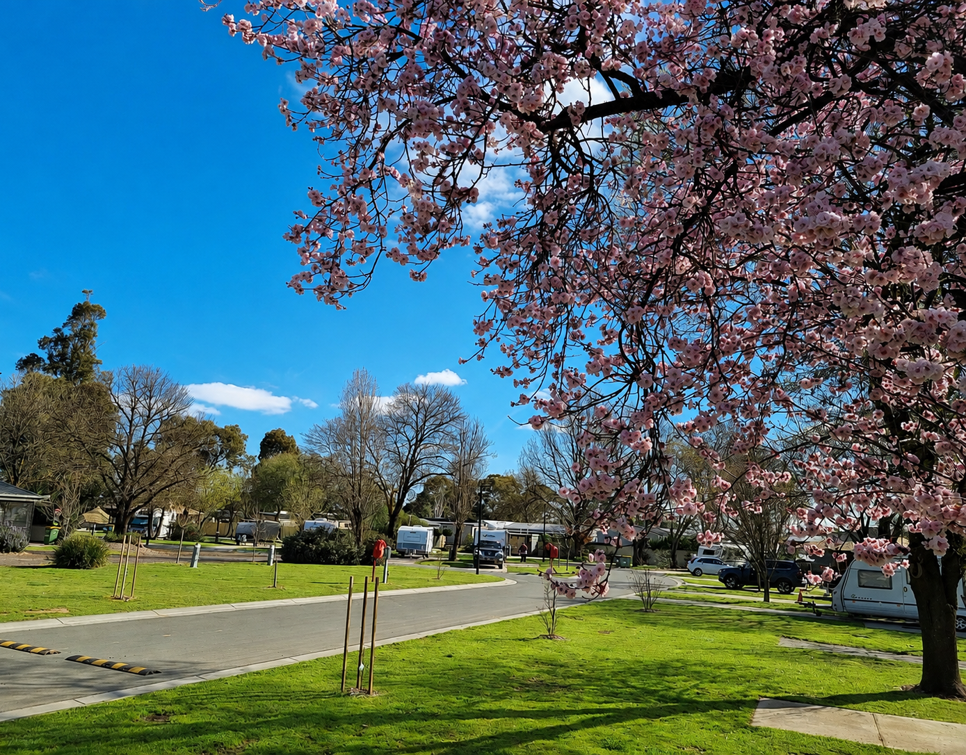 About Our Park