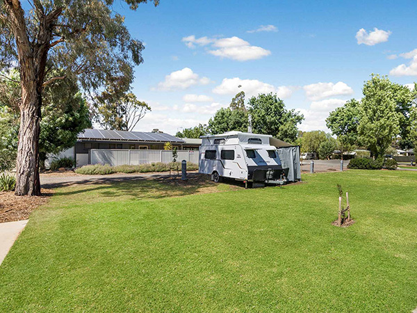 PREMIUM POWERED SITE GRASS